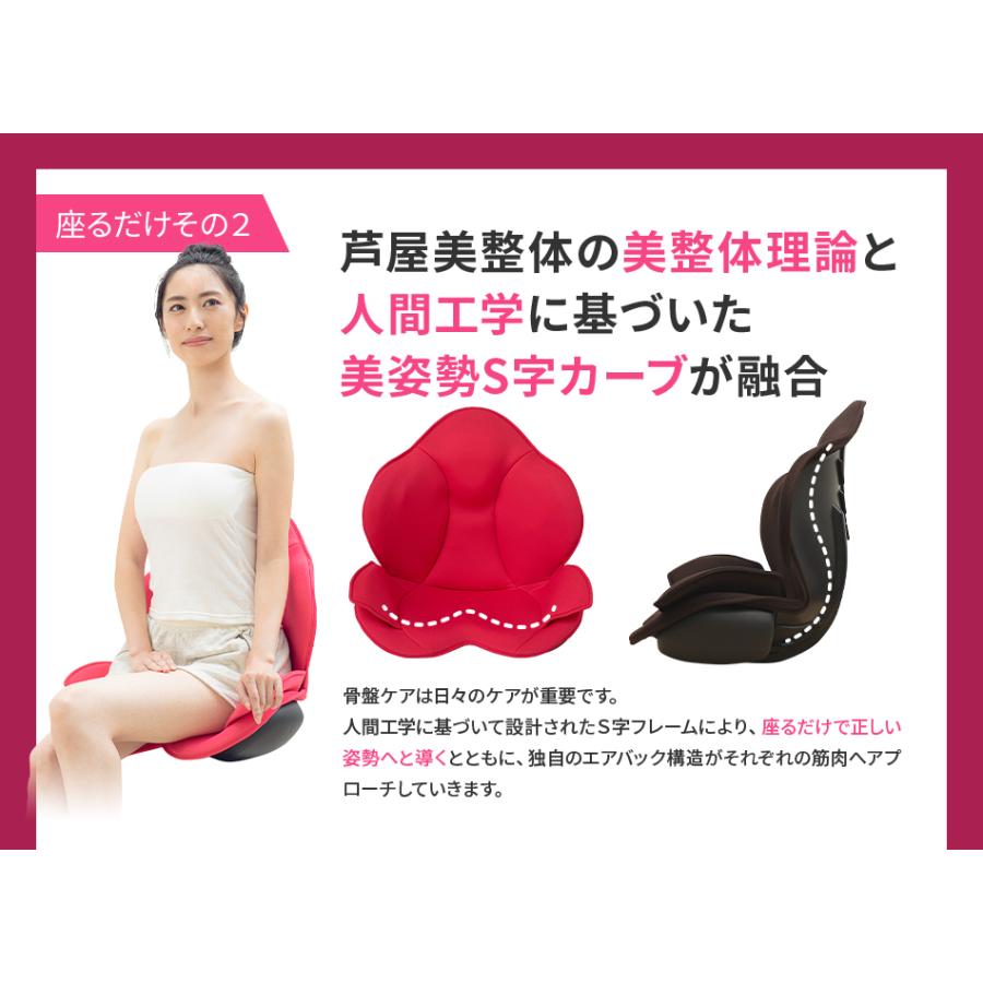 ブランド公式＆送料無料】芦屋美整体 骨盤スリムスタイリーエアー