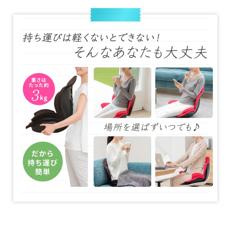 ブランド公式＆送料無料】芦屋美整体 骨盤スリムスタイリーエアー