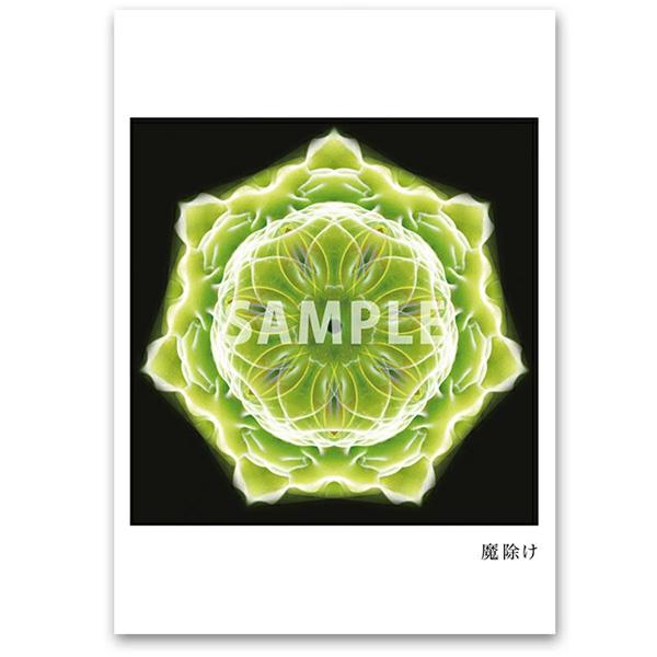 クスリエ 10枚入 ユニカ 医学博士 丸山修寛 監修 : MWJ TOKYO - 通販