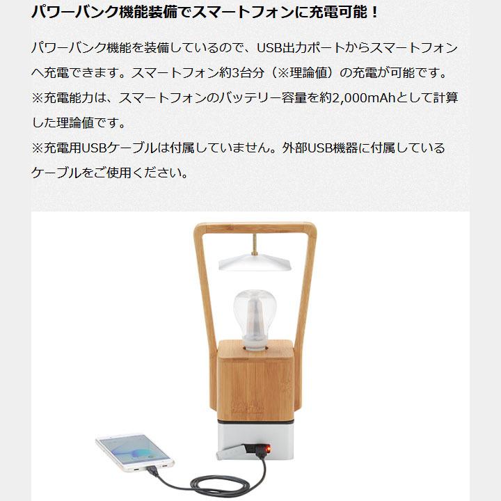 LOGOS（ロゴス） LEDランタン USB充電式 蓄電タイプ LOGOS Bamboo