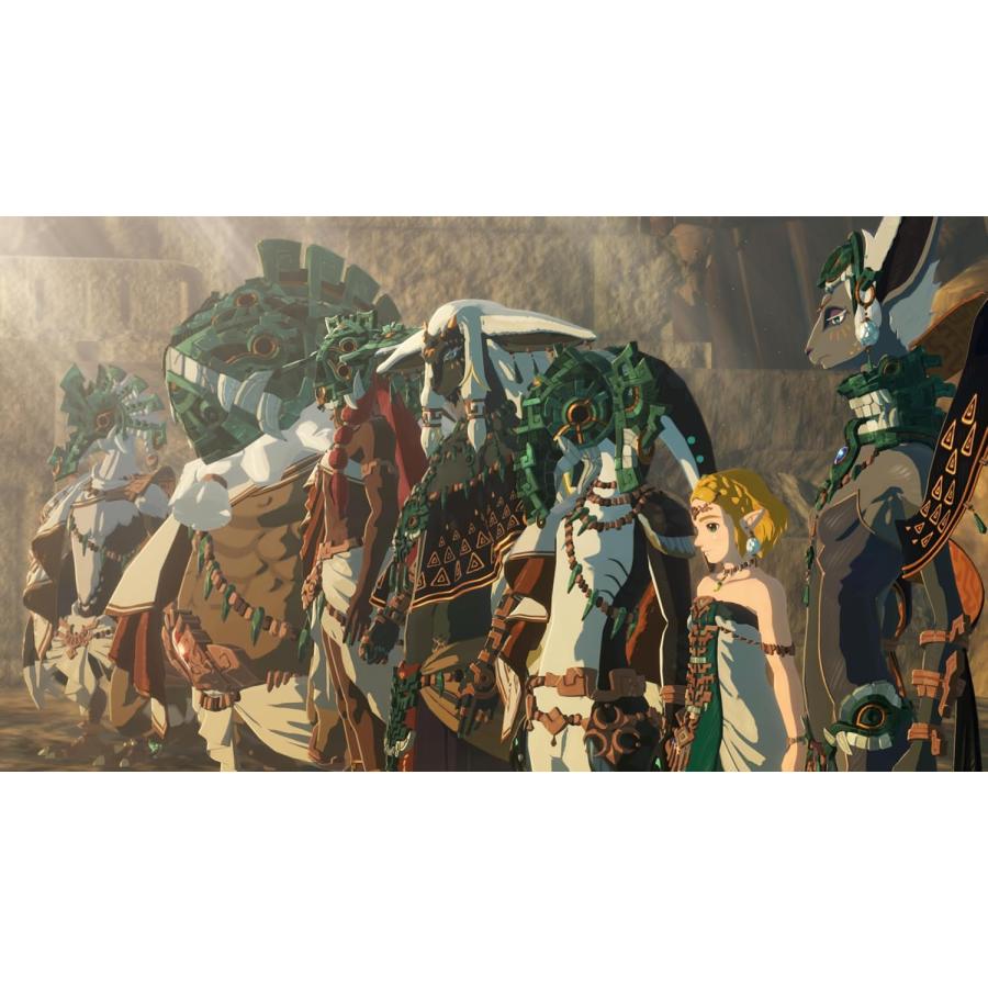 任天堂（Nintendo） ゼルダ無双 封印戦記 TREASURE BOX【新品・未開封