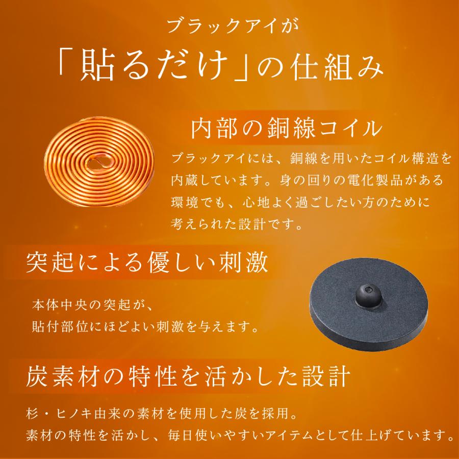 unica（ユニカ） 丸山式コイル ブラックアイ 6個入 貼替シール30枚入