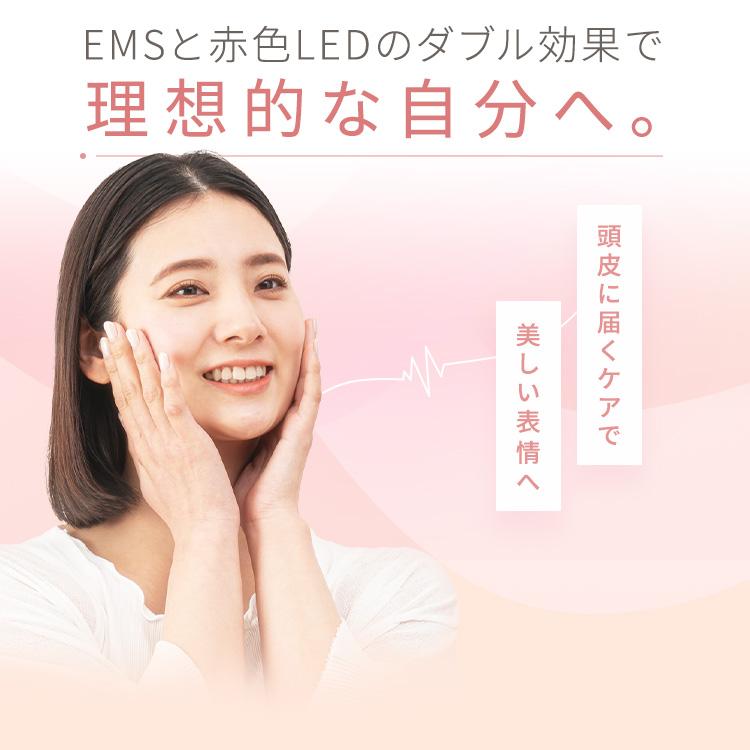 ルルド EMSリフトブラシ AX-NBL506 アテックス EMS 美顔器 ブラシ