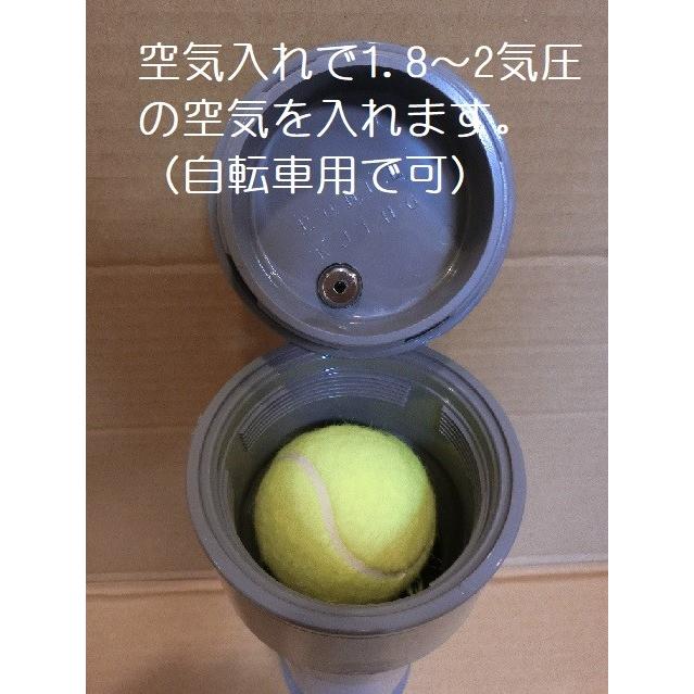 持ち運び用テニスボール圧力容器（ボール4個収納） : あつめる君
