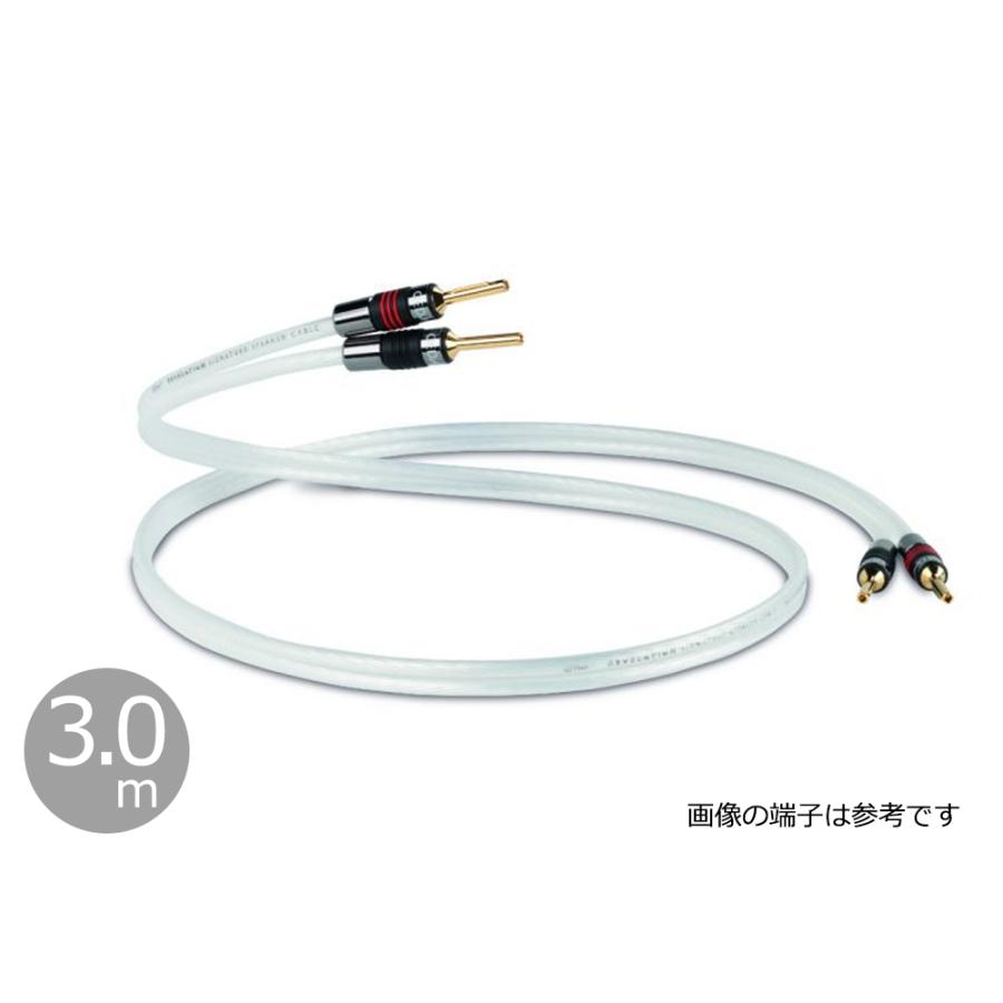 QED - Signature Revelation/3.0m（完成品スピーカーケーブル・ペア/要