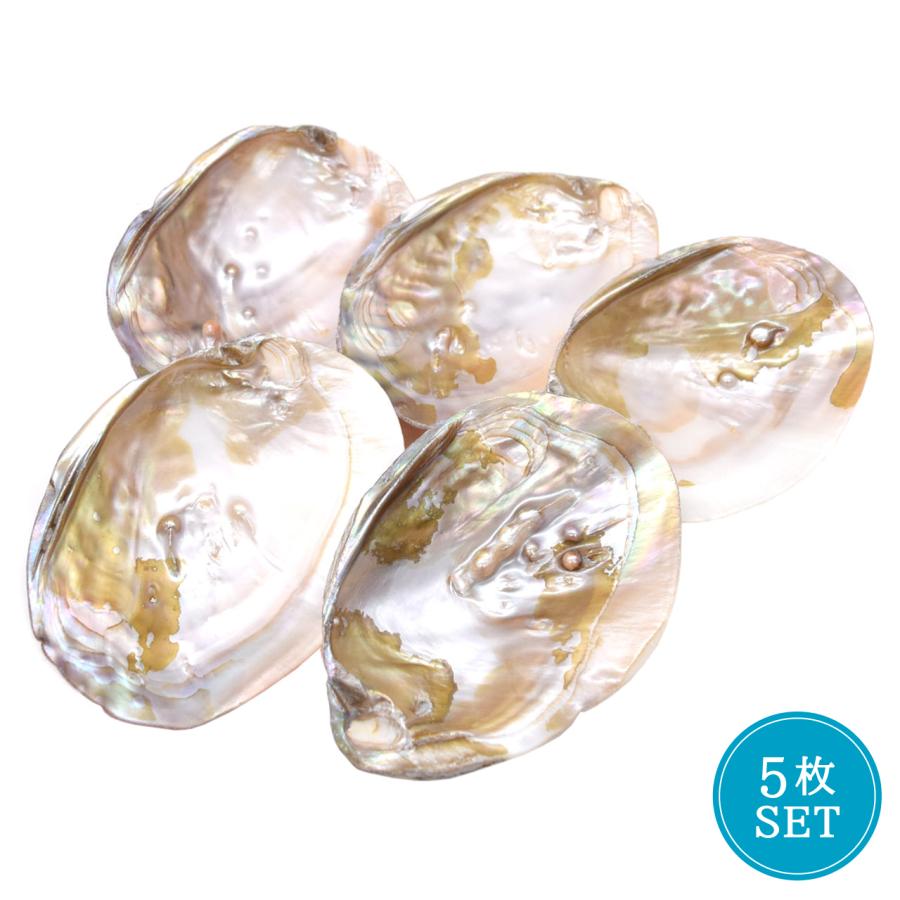 お買い得5枚セット】イケチョウ貝 パールシェル 天然真珠貝殻 浄化