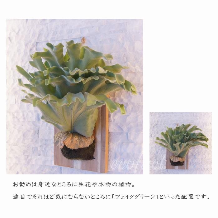 フェイクグリーン ハンギング 大型 壁掛け コウモリラン（ビカクシダ