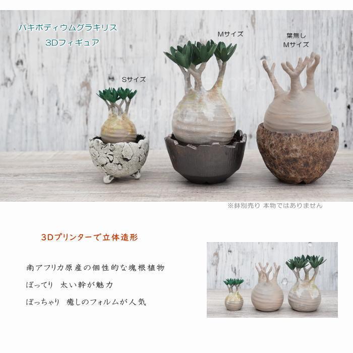 フェイクグリーン 3D フィギュア グラキリス パキポディウム 葉無し M