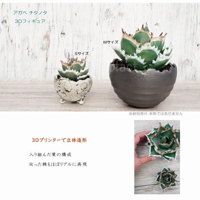 フェイクグリーン 3D フィギュア アガベ チタノタ Sサイズ φ85mm