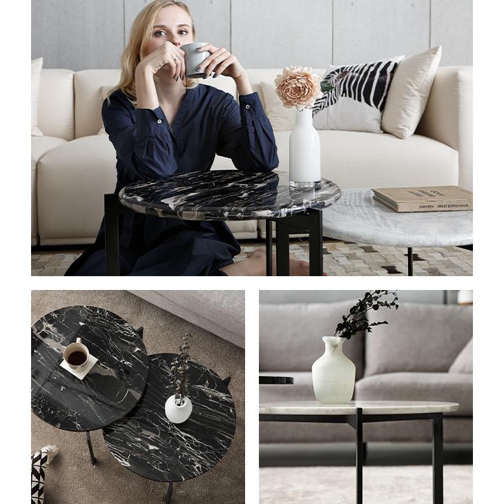 ARMONIA（アルモニア） センターテーブル 大理石テーブル セパレート