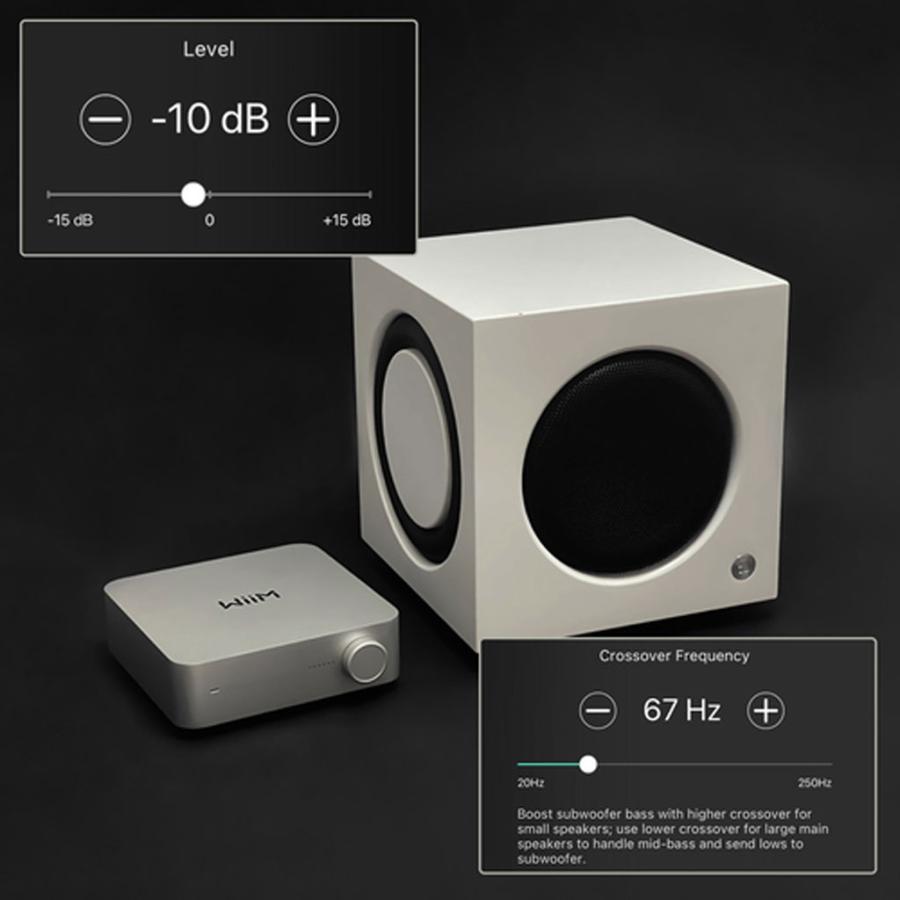 WiiM WiiM Amp [シルバー] [ウィーム] スペースストリーマーアンプ