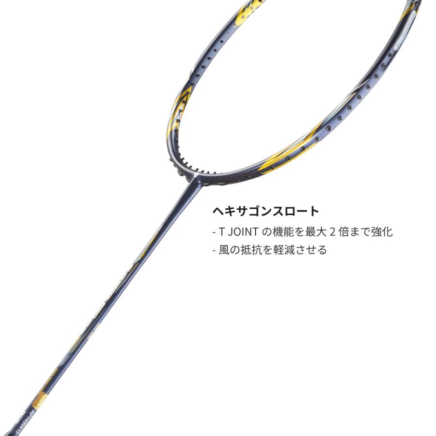 アパックス バドミントンラケット ブリザードプロZZ BLIZZARD PRO ZZ
