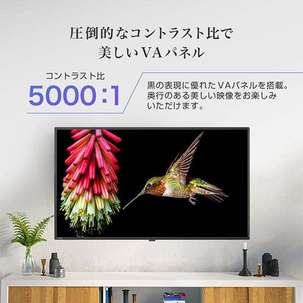 MAXZEN（マクスゼン） 期間限定ポイント5倍！ テレビ 50型 液晶テレビ