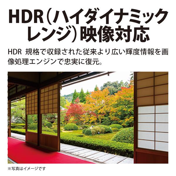 SHARP（シャープ） テレビ 50型 液晶テレビ アクオス 50インチ TV 4T