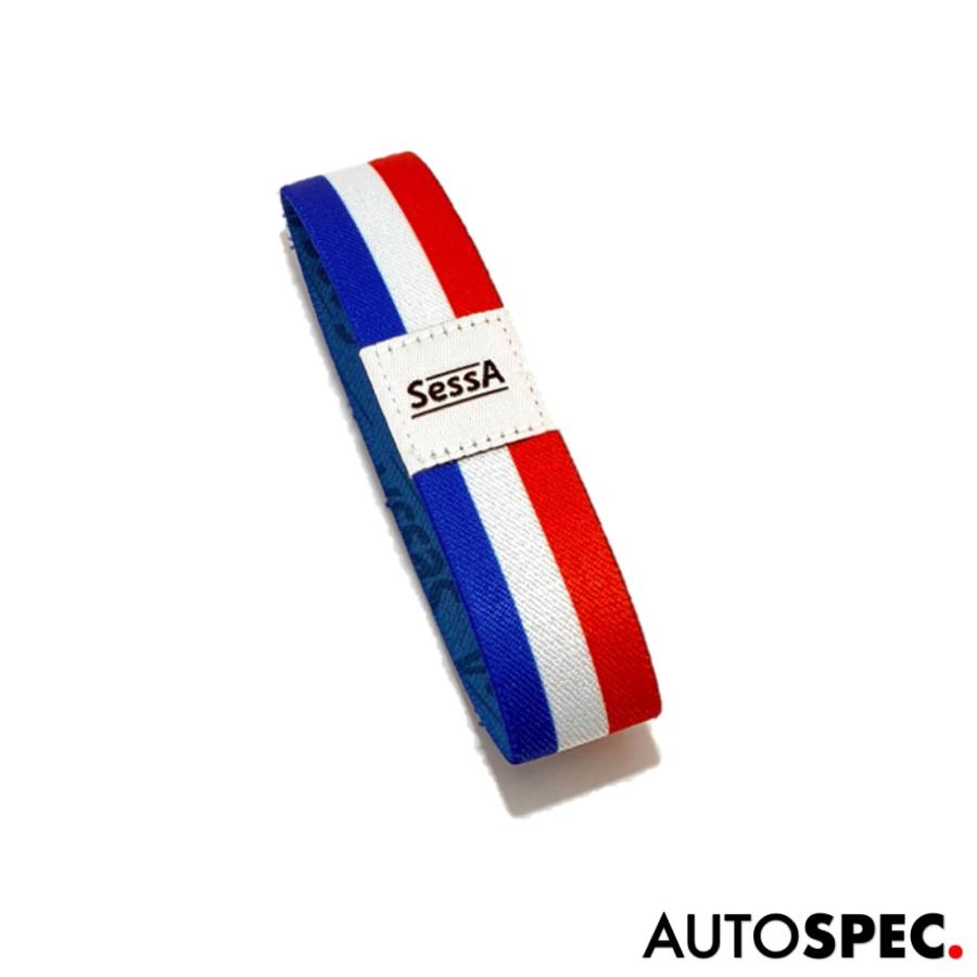 ルノー（RENAULT） SessA バイザーサッシュ トリコロール シトロエン