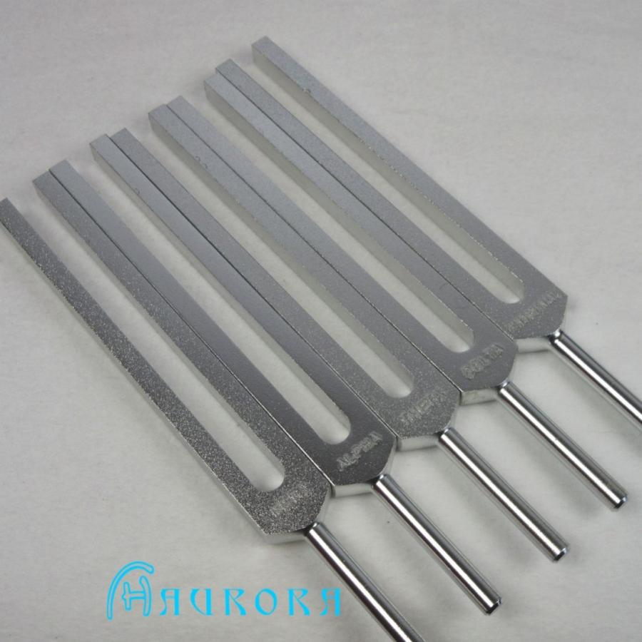 脳波チューナー（ヒーリング音叉）5本セット スタンダードグレード