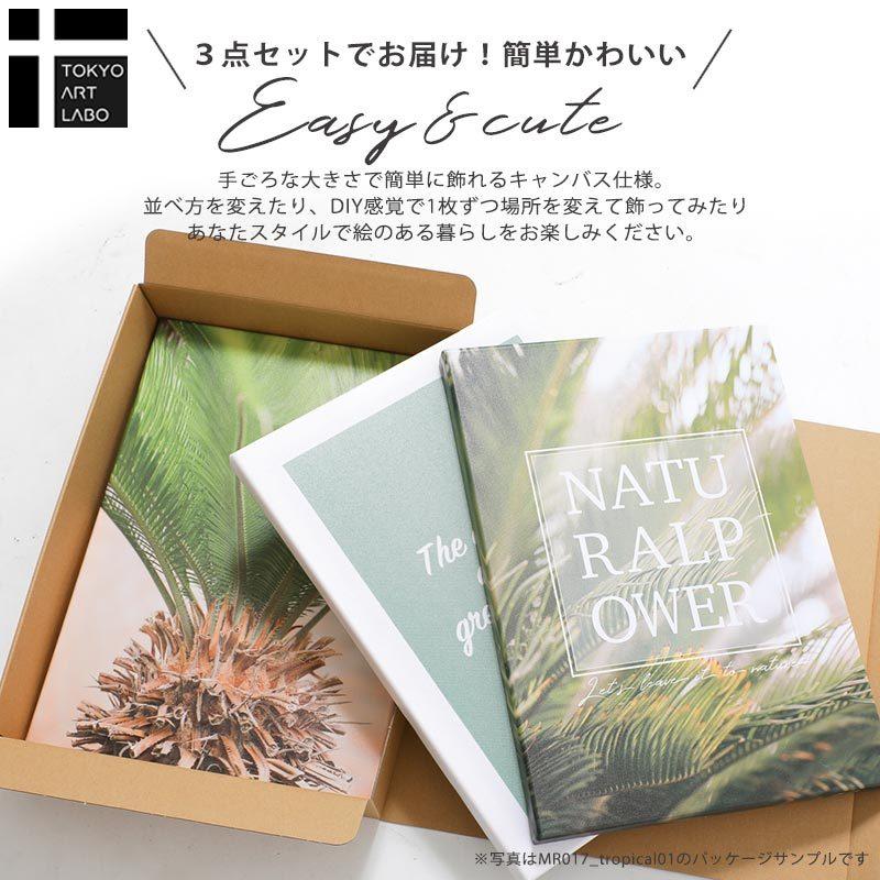 CREA アートパネル ピカソ 3点セット 壁掛け インテリア 絵画 北欧