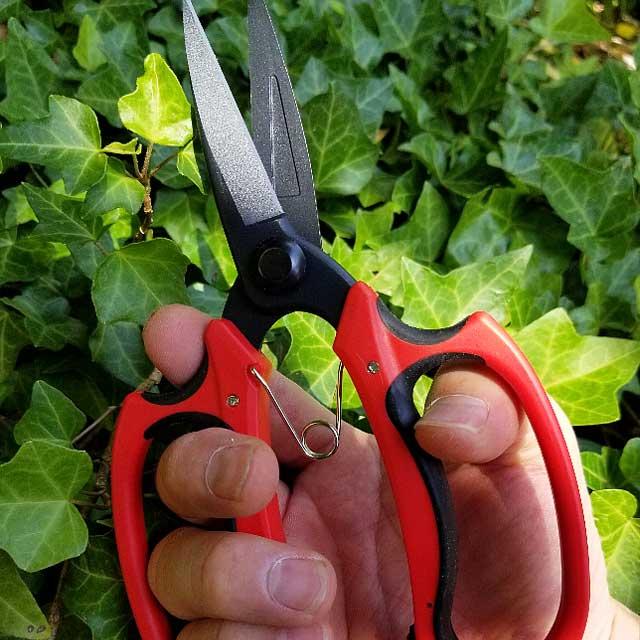 三共コーポレーション 剪定ばさみ 剪定鋏 プロ用 ガーデニング 盆栽