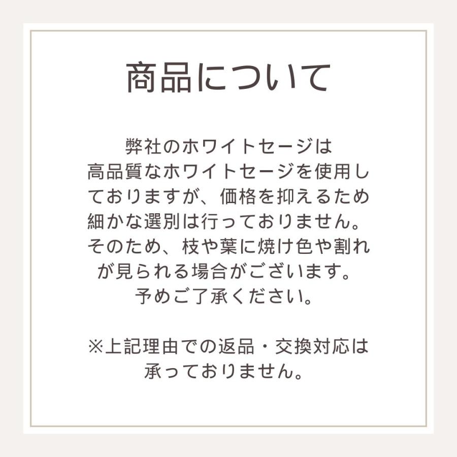 ホワイトセージ 浄化 枝付き クラスター 約30g 無農薬 カリフォルニア