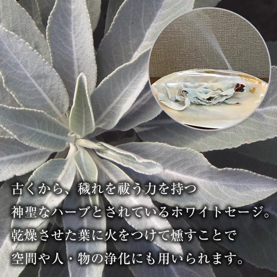 ホワイトセージ 浄化用 枝付き クラスター 約100g 浄化 無農薬 高品質