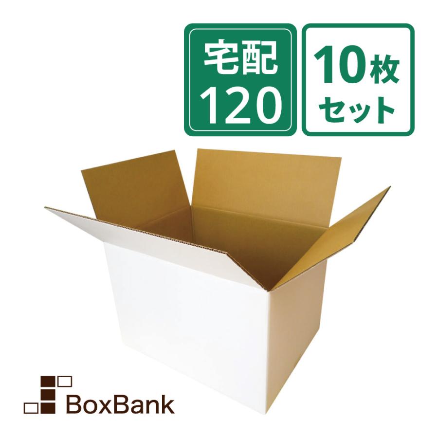 ボックスバンク ダンボール 段ボール 白 120サイズ (46×35.5×32cm) 10