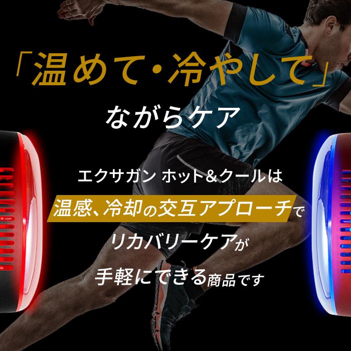 ドクターエア（DOCTORAIR） エクサガン ホット＆クール REG-03