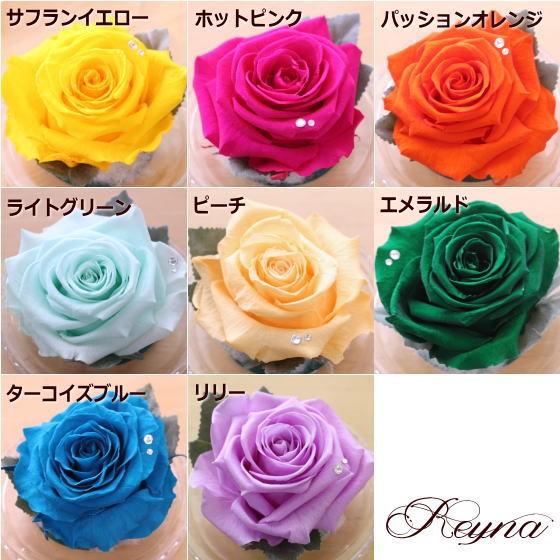 大輪バラ プリザーブドフラワー「レイナ（ガラスドーム