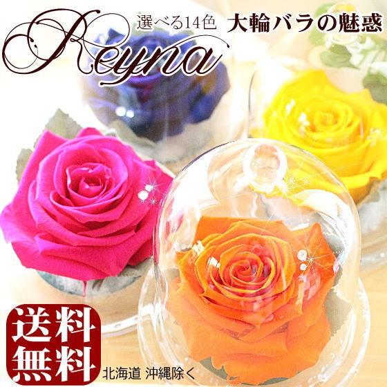 大輪バラ プリザーブドフラワー「レイナ（ガラスドーム