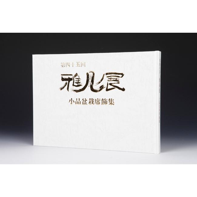 書籍 本 盆栽専門誌「第45回 雅風展記念帳」 小品盆栽 ミニ盆栽 盆栽鉢