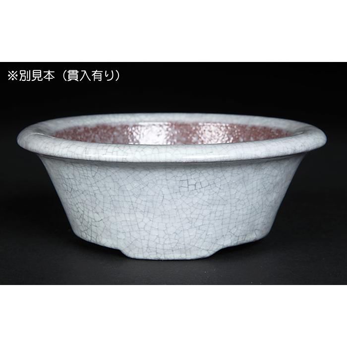 盆栽鉢 色鉢 白均釉外縁丸鉢 陶器 3号 10.5cm ホワイト 小品盆栽 ミニ