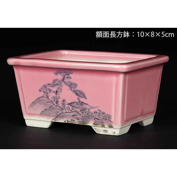 盆栽鉢 植木鉢 瀬戸焼文山窯色絵鉢4点セット・桃 色鉢 絵付鉢 絵鉢 3号