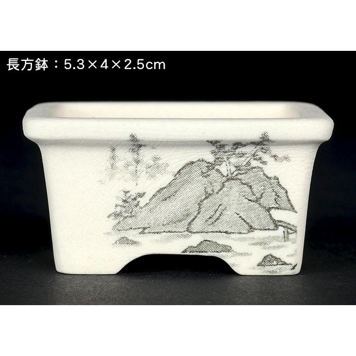 盆栽鉢 植木鉢 「瀬戸焼文山窯絵付小鉢12点セット」 絵鉢 絵付鉢 2号