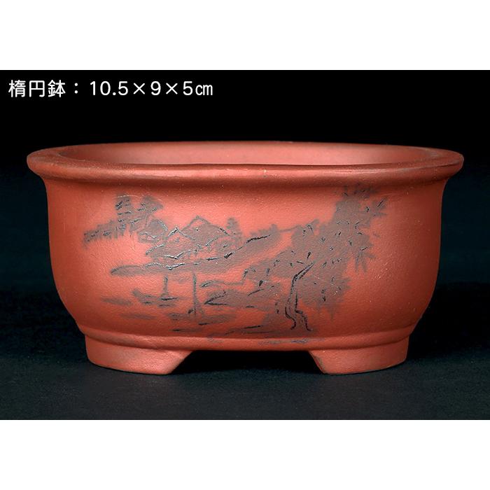盆栽鉢 「瀬戸焼文山窯朱泥絵付鉢4点セット」 植木鉢 絵鉢 泥鉢 焼締 3
