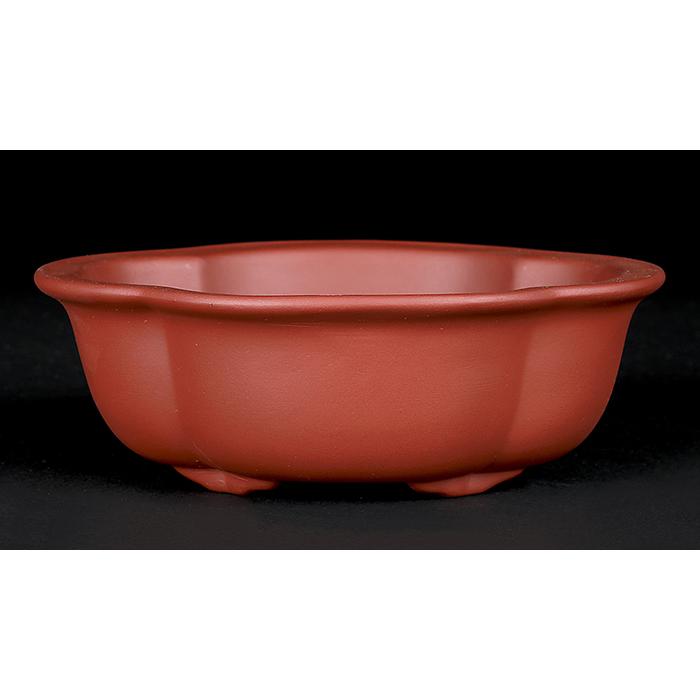 盆栽鉢 紫泥外縁木瓜式鉢 朱泥 植木鉢 中国鉢 泥鉢 陶器 6号 19cm