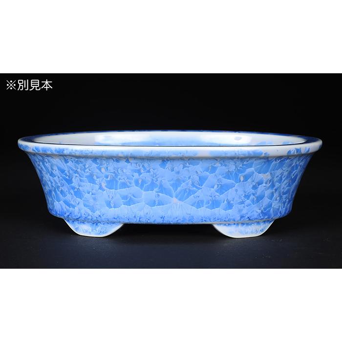 盆栽鉢 植木鉢 「平安泉山青花結晶楕円鉢」 山草鉢 清水焼 京焼 磁器 6