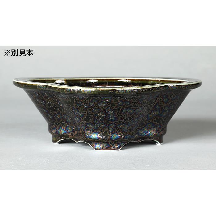 盆栽鉢 植木鉢 「平安泉山黒釉星結晶木瓜式鉢 大」 山草鉢 色鉢 清水焼