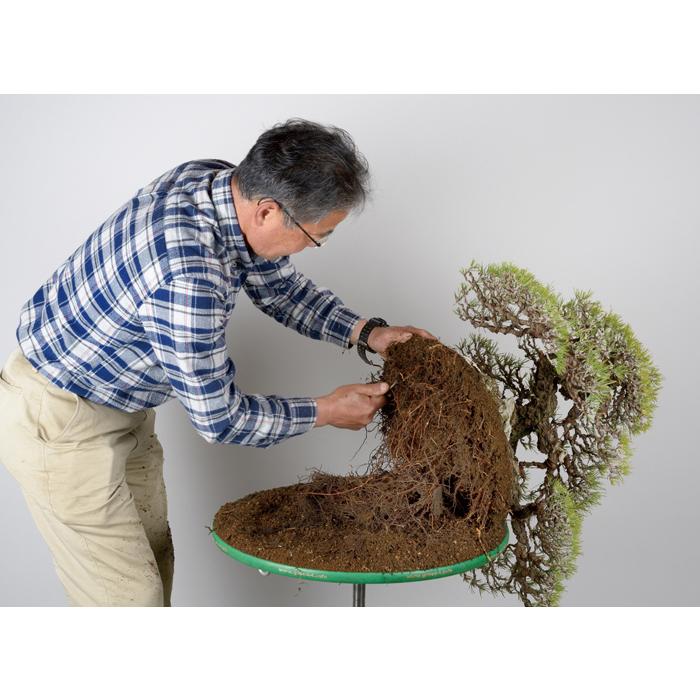 盆栽道具 盆栽作業台 「油圧式回転作業台Green-T 丸型プラス」 盆栽の