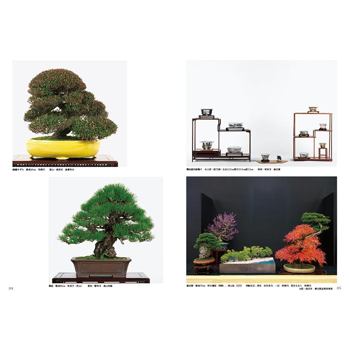 書籍 本 盆栽専門誌「第41回 日本盆栽大観展 記念帳」盆栽 松柏 雑木