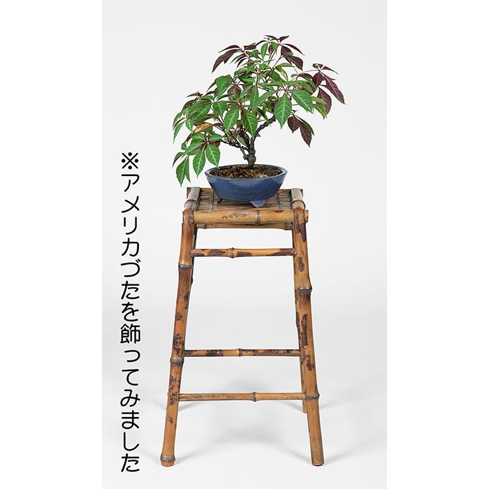 盆栽飾り卓 盆栽飾り台 「斑竹正方高卓」 盆栽卓 盆栽台 高卓 懸崖卓