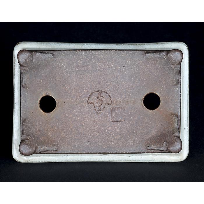 盆栽鉢 「東福寺白釉雲足長方鉢」 植木鉢 初代 平安東福寺 作家鉢 色鉢