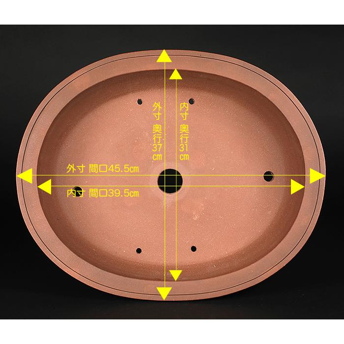 盆栽鉢 紫泥外縁下紐楕円鉢 植木鉢 中国鉢 張氏製陶 落款あり 15号