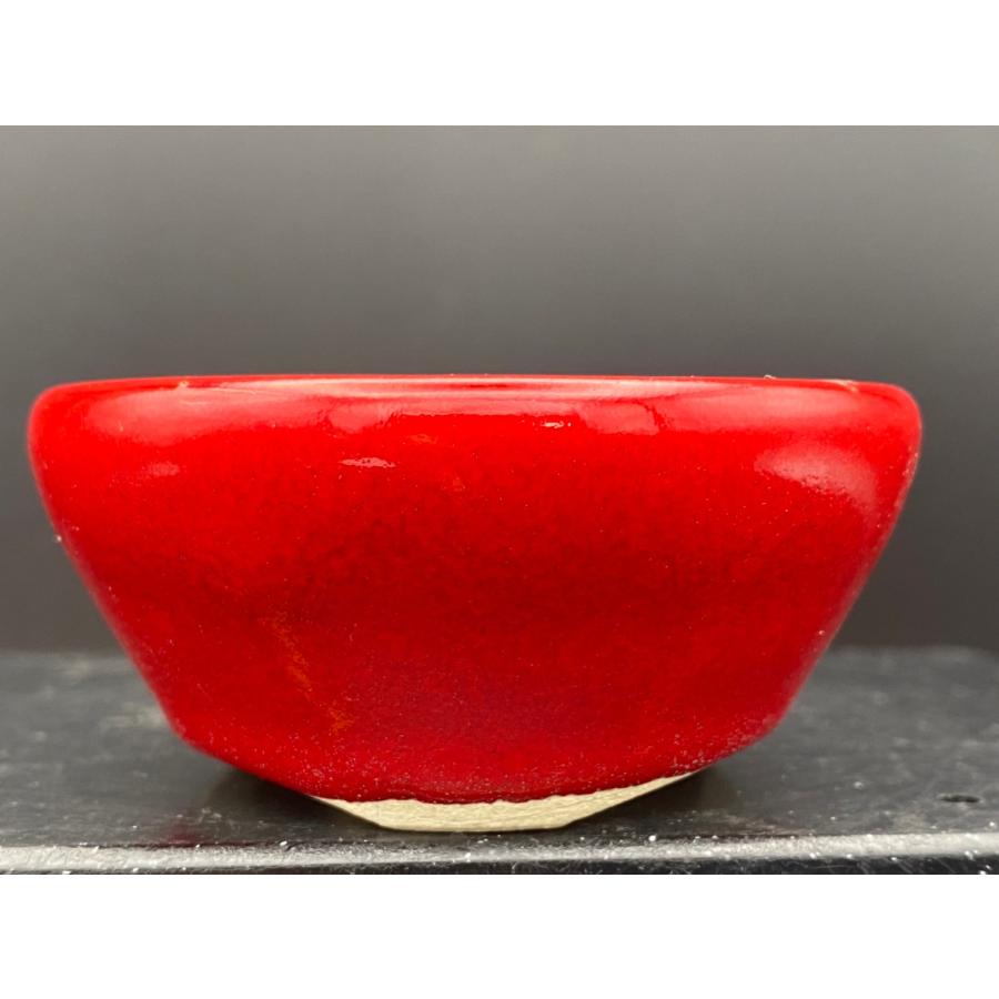 堀江美功 鶏血釉丸三足鉢 2.5号(7.5cm) : 鉢や 暮路空 - 通販 - Yahoo