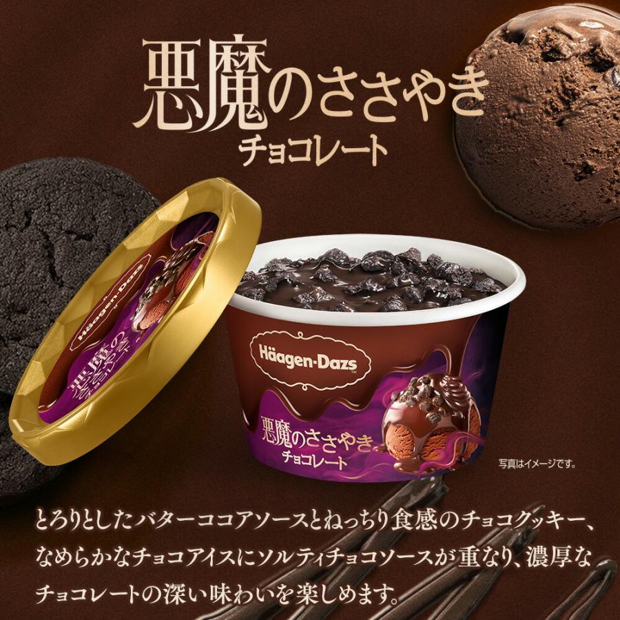 2025 冬ギフト】ハーゲンダッツ プレミアムギフト | アイスクリーム