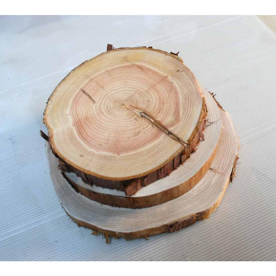 川島材木店 丸太の輪切り SML3枚セット 直径約18・21・24x厚3cm 丸い