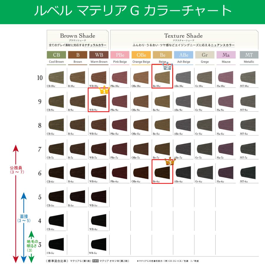 LebeL（ルベル） 白髪染め マテリアG 120g 1本と オキシW 1000ml