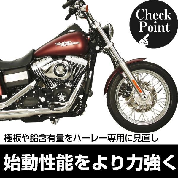 SUPER NATTO（スーパーナット） バイク用バッテリー ハーレー専用AGM