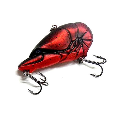 一誠 GCザリバイブジュニア 57 issei GC ZARI VIB jr 【1】 : バック