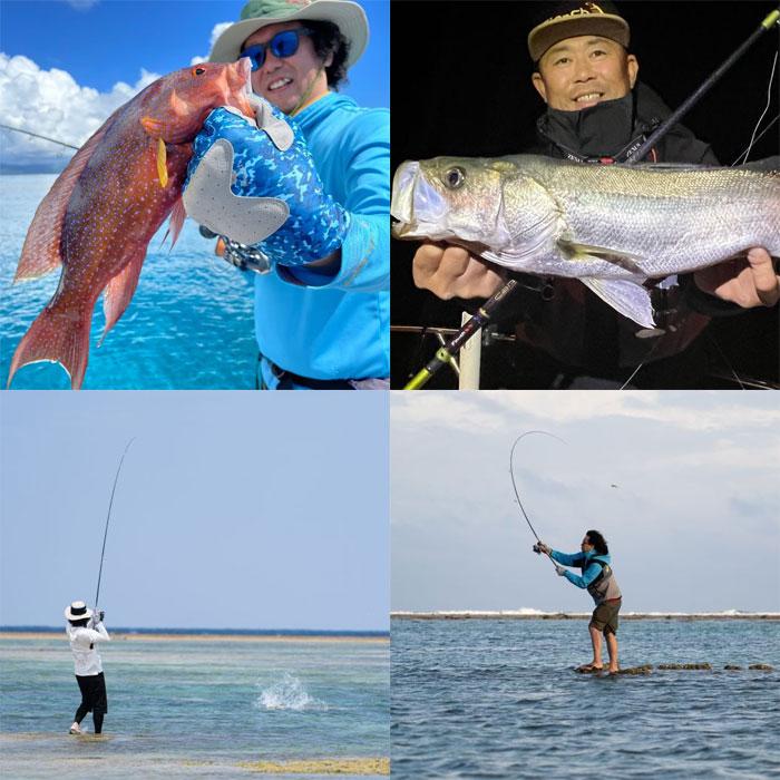 finch フィンチ カナリア 95M （パックロッド スピニング） : バック