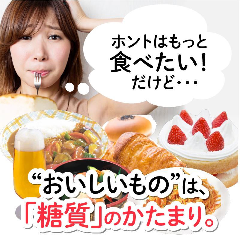 ザ糖質プレミアムダイエット 20粒入り サラシア ギムネマ 糖質