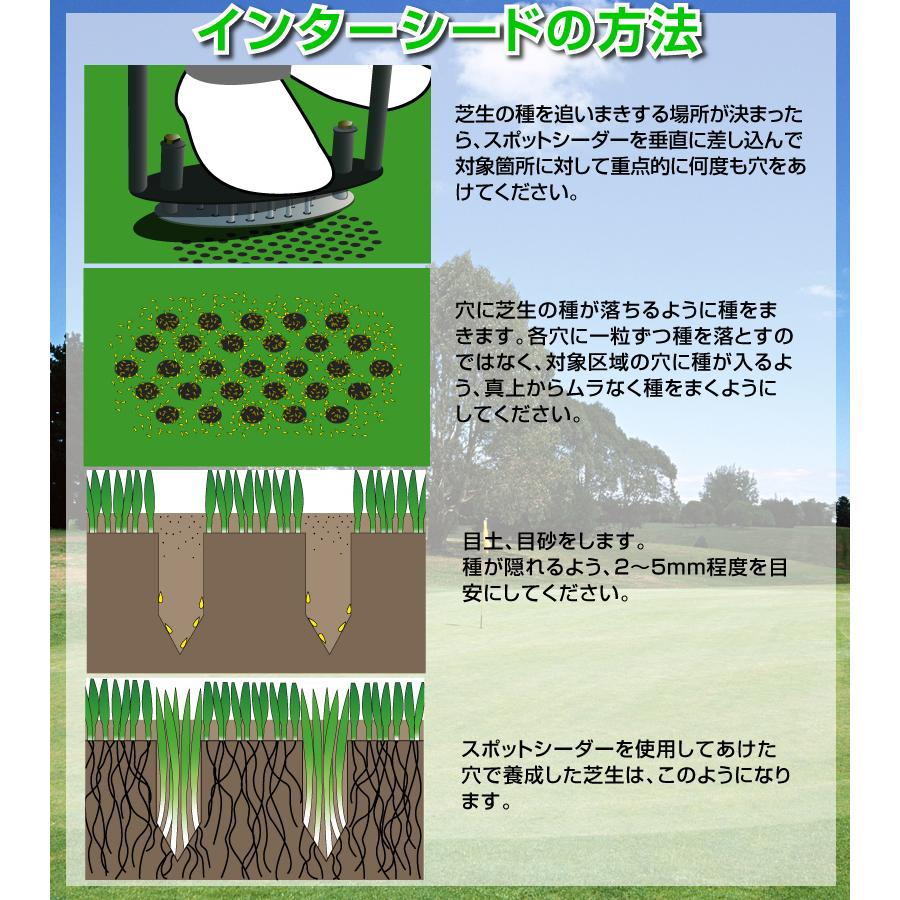 バロネス スポットシーダー・スパイカー 組立済 インターシード用